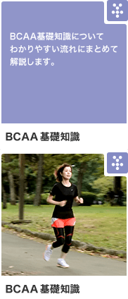 BCAA学習編 持久系アミノ酸BCAAについてわかりやすく解説します。