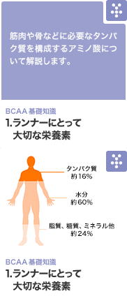 BCAAの摂取タイミング BCAAの摂取タイミングについて解説します。