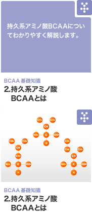 動画でわかるBCAA 動画を使ってBCAAについてわかりやすく解説します。