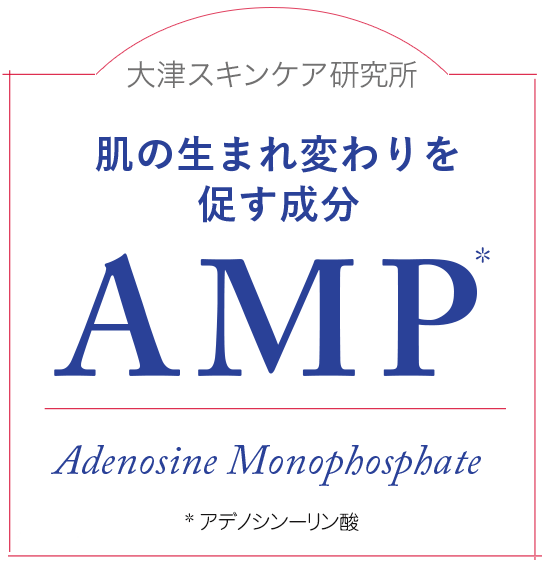 大津スキンケア研究所　肌の生まれ変わりを促す成分AMP