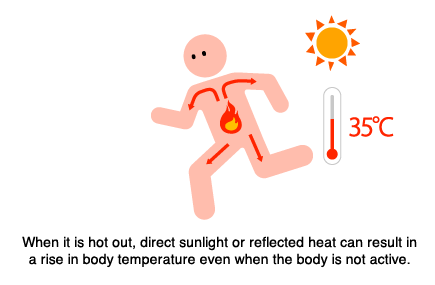 When it is hot out, direct sunlight or reflected heat can result in a rise in body temperature even when the body is not active.
