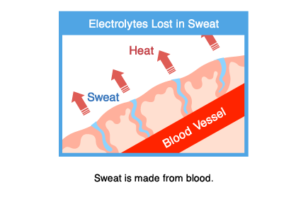 Sweat is made from blood.