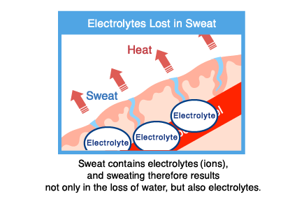 Sweat contains electrolytes (ions), and sweating therefore results not only in the loss of water, but also electrolytes.