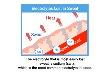 The electrolyte that is most easily lost in sweat is sodium (salt), which is the most common electrolyte in blood.