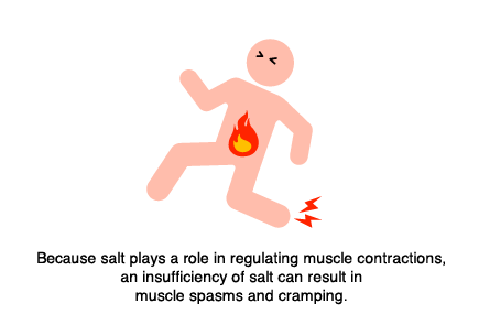 Because salt plays a role in regulating muscle contractions, an insufficiency of salt can result in muscle spasms and cramping.