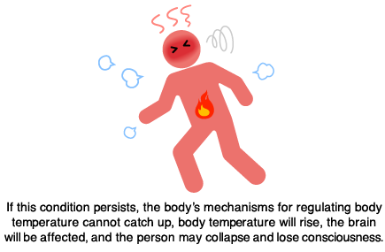 If this condition persists, the body's mechanisms for regulating body temperature cannot catch up, body temperature will rise, the brain will be affected, and the person may collapse and lose consciousness.