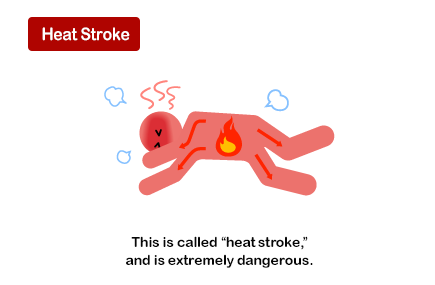 This is called "heat stroke," and is extremely dangerous.