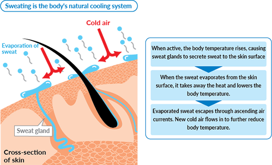 Sweating is the body's natural cooling system
