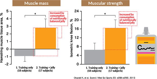 Muscle mass / Muscular strength