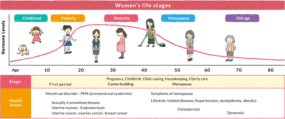 Women's life stages