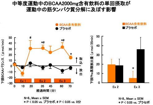 中等度運動中のBCAA2000mg含有飲料の単回摂取が運動中の筋タンパク質分解に及ぼす影響
