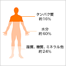 ランナーにとって大切な栄養素 イメージ