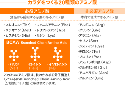 カラダをつくる20種類のアミノ酸