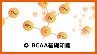 BCAA基礎知識