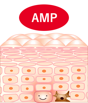 AMP