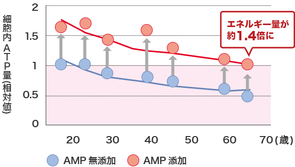 表皮細胞のエネルギー量の変化