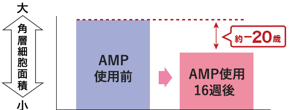 角層細胞面積の変化