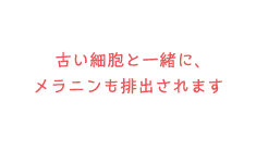 古い細胞と一緒に、メラニンも排出されます