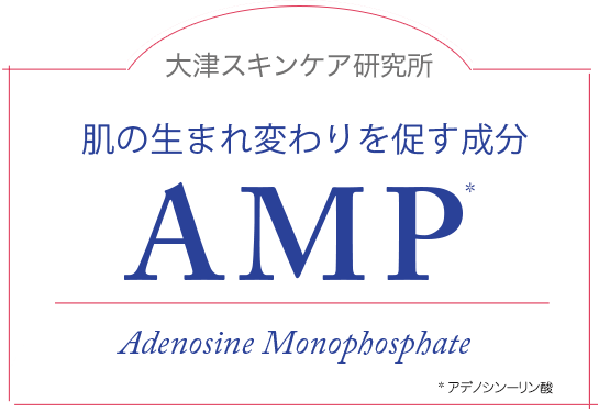 大津スキンケア研究所　肌の生まれ変わりを促す成分AMP