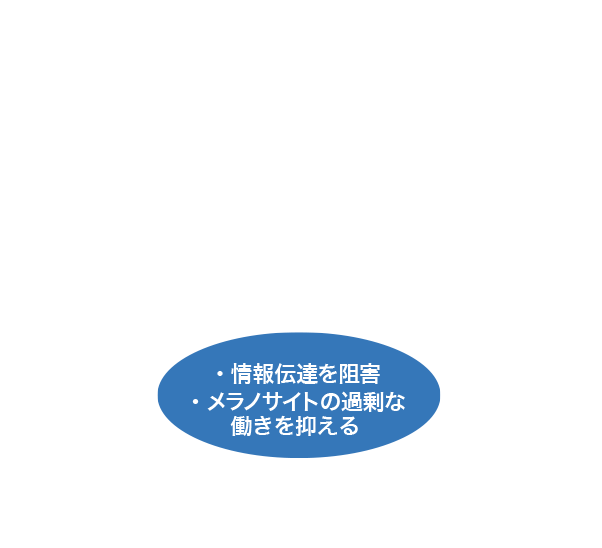 ・情報伝達を阻害・メラノサイトの過剰な働きを抑える