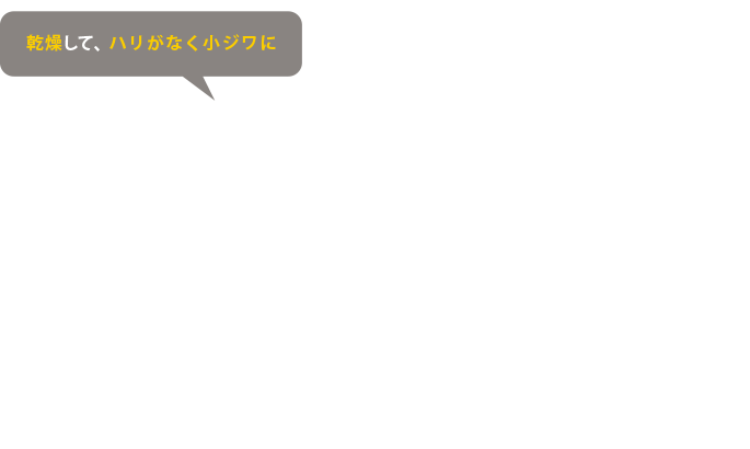 角層細胞面積が大きく、キメが粗い