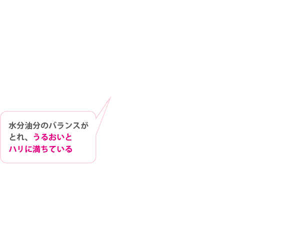 水分油分のバランスがとれ、うるおいとハリに満ちている