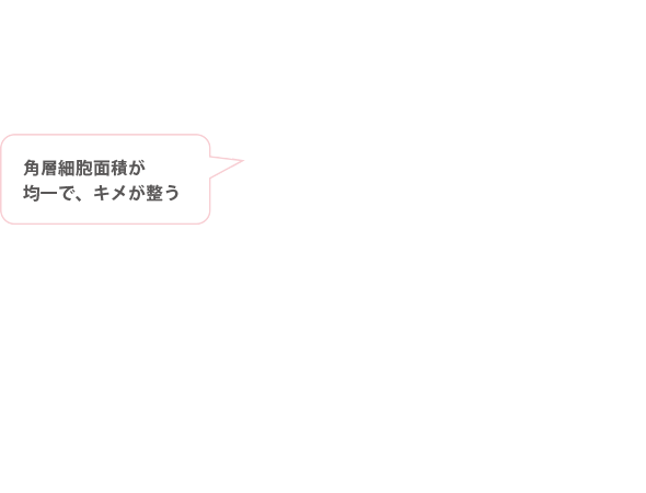 角層細胞面積が均一で、キメが整う