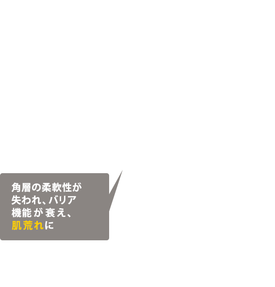 角層の柔軟性が失われ、バリア機能が衰え、肌荒れに