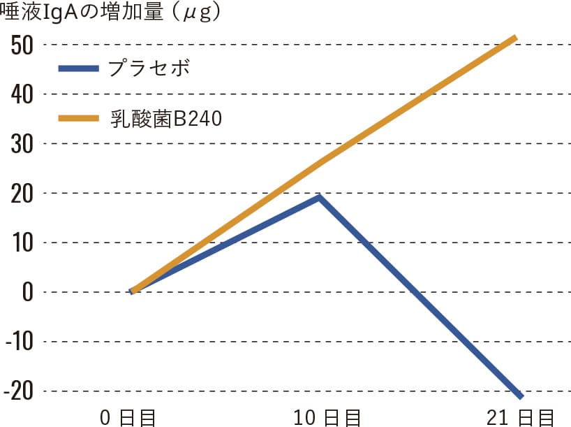 成人女性の乳酸菌B240摂取群別唾液中IgA増加量のグラフ