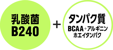 乳酸菌B420+タンパク質 BCAA+アルギニン ホエイタンパク