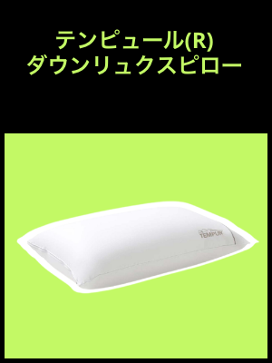 健康グッズプレゼントテンピュール(R) ダウンリュクスピロー