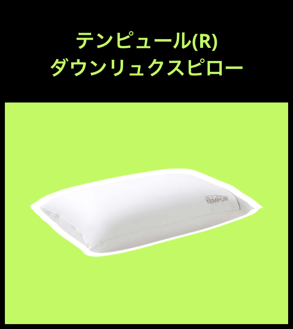 健康グッズプレゼントテンピュール(R) ダウンリュクスピロー