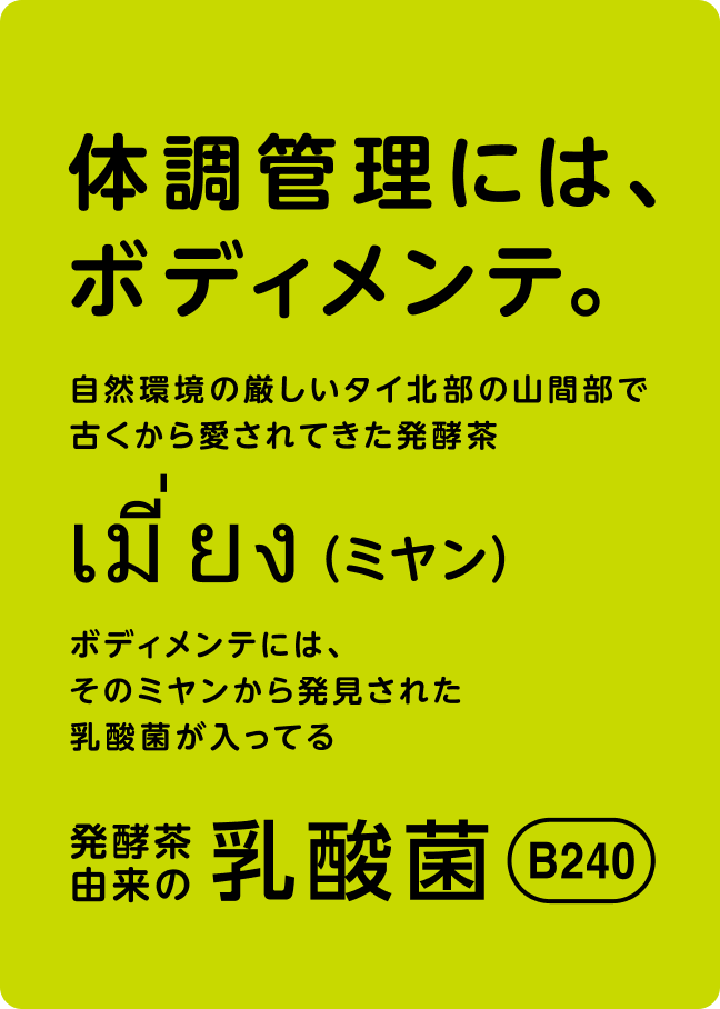 体調管理には、ボディメンテ。自然環境の厳しいタイ北部の山間部で古くから愛されてきた発酵茶ミヤン ボディメンテには、そのミヤンから発見された乳酸菌が入ってる 発酵茶由来の乳酸菌B240