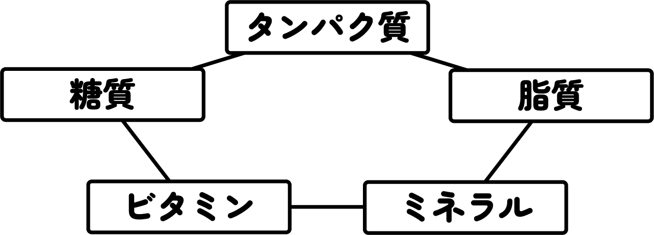 BALANCED FOOD（タンパク質、脂質、ミネラル、ビタミン、糖質）