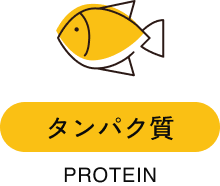 タンパク質 PROTEIN