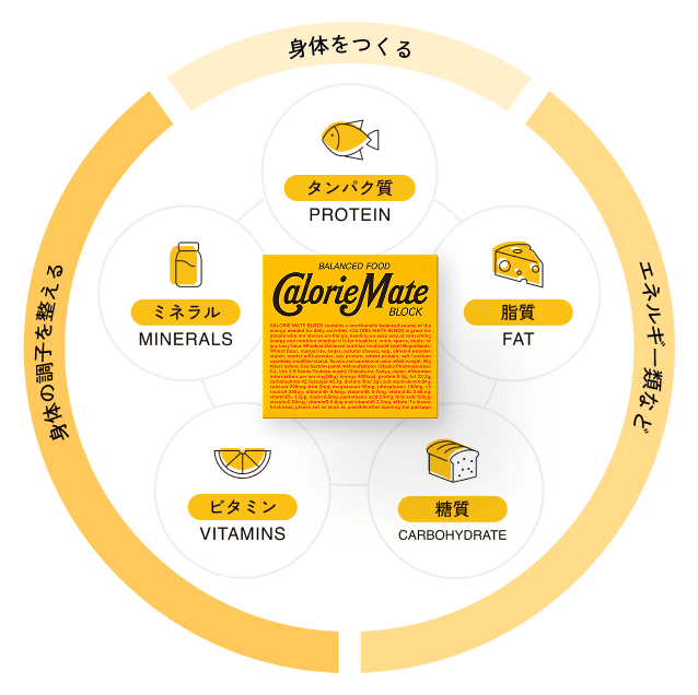 5大栄養素の関係図