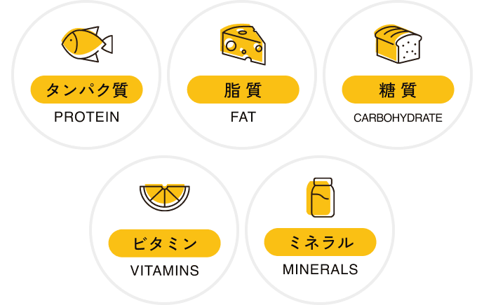 5大栄養素のアイコン