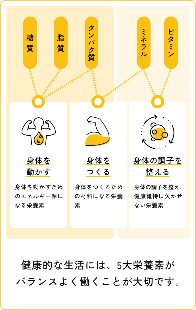健康的な生活には、5大栄養素がバランスよく働くことが大切です。