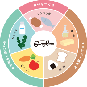 5大栄養素とその役割について | 栄養補給について | カロリーメイト公式サイト | 大塚製薬