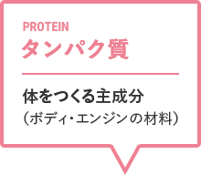 タンパク質：身体をつくる主成分（ボディ・エンジンの材料）