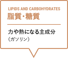 脂質・糖質：力や熱になる主成分（ガソリン）