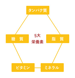 5大栄養素