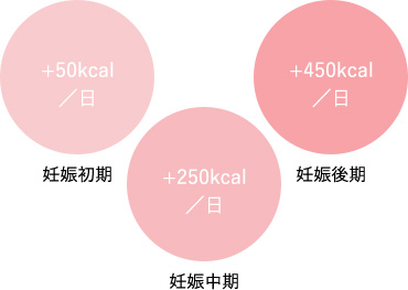 妊婦さんの栄養補給に こんなときに カロリーメイト公式サイト 大塚製薬