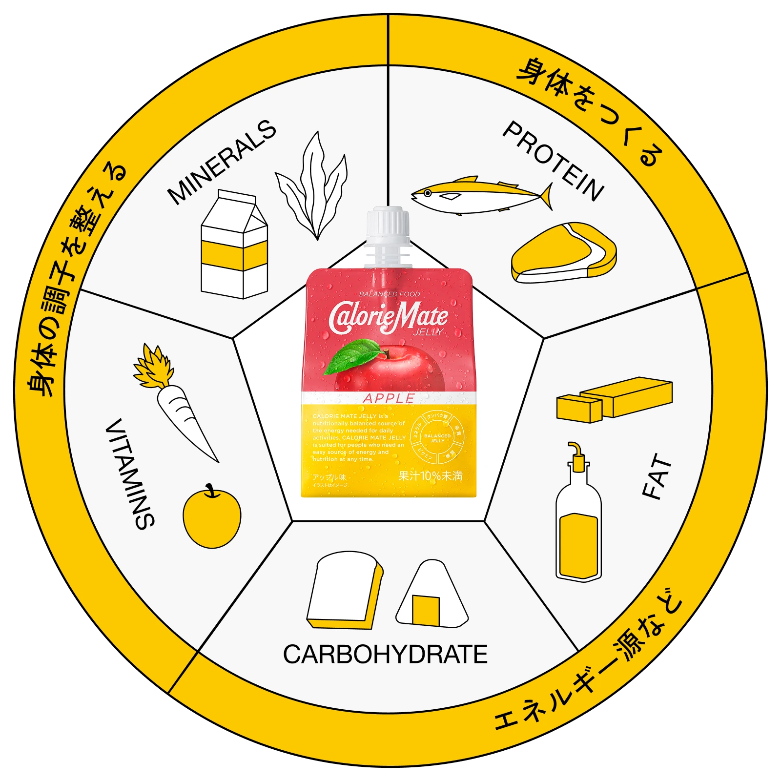 身体の調子を整える MINERALS VITAMINS 身体を作る PROTEIN エネルギー源など CARBOHYDRATE FAT 中央にCalorieMate JELLY APPLE の商品画像