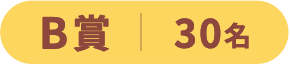 B賞 30名