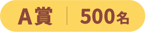 A賞 500名
