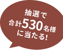 抽選で合計530名様に当たる!