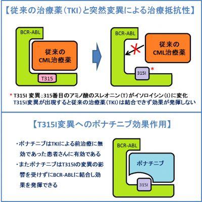 従来の治療薬（TKI）と突然変異による治療抵抗性／T315I変異へのポナチニブ効果作用