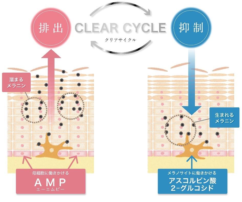 スキンケア新ブランド誕生 「サクラエ（sakuraé） ダブル