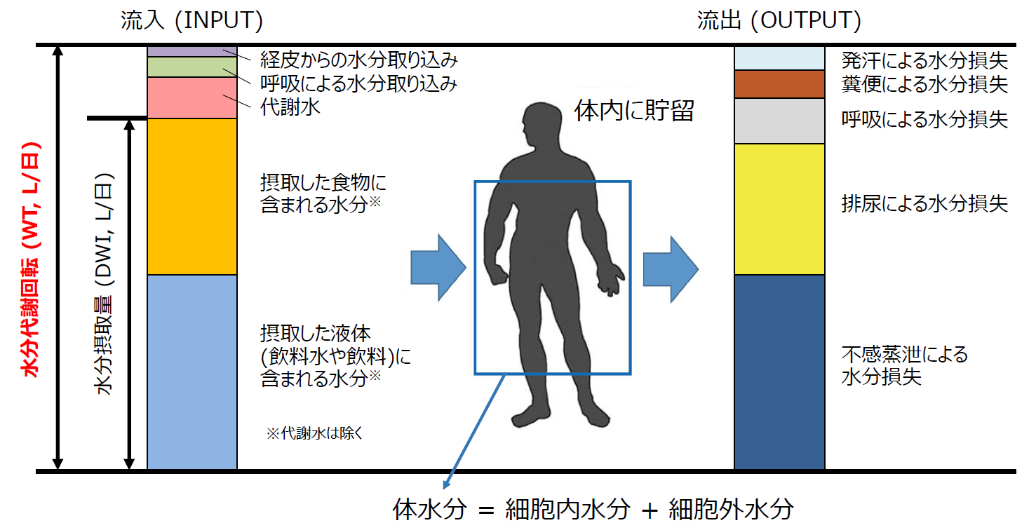 20260629_1_01.png